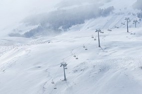 Welche Skihandschuhe